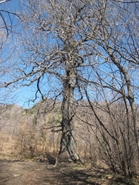 Monte_Fontane - 01042012 121.jpg